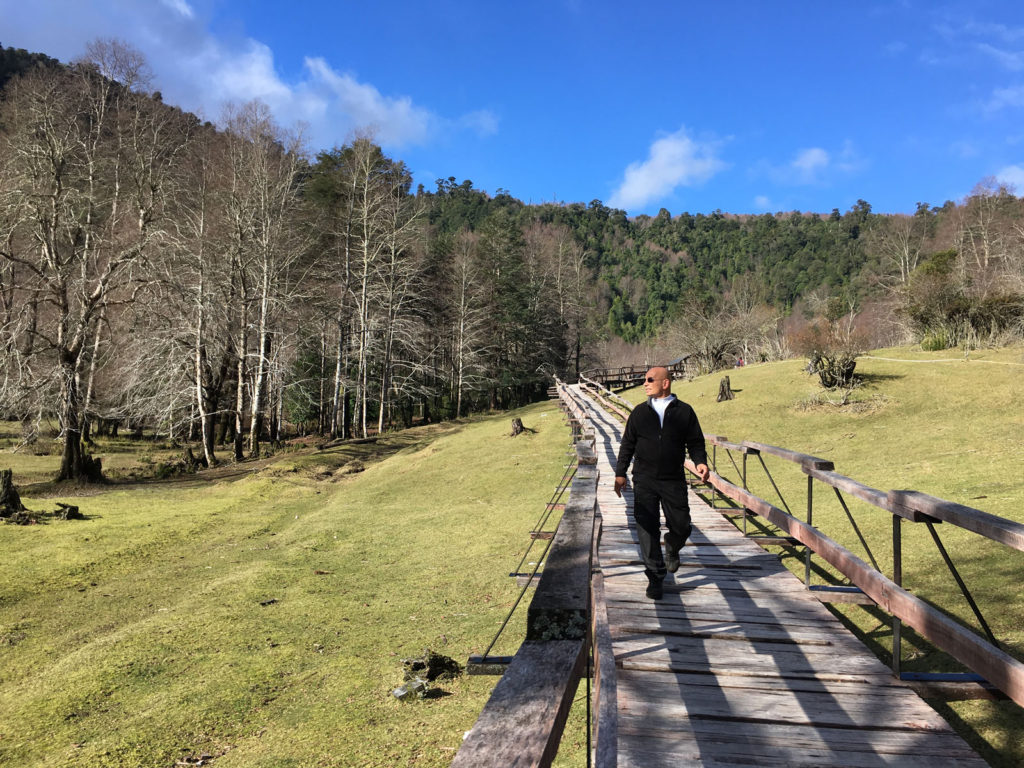 Anthony Melchiorri - Extreme Hotels - Nothofagus